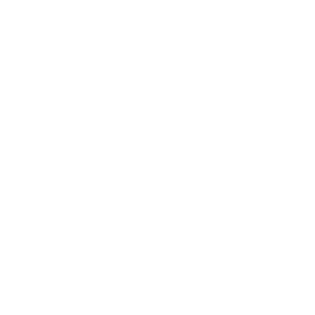 4th Seasons Consulting Logo